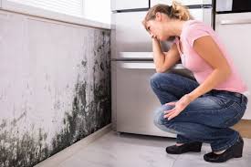 Best Mold Removal for HVAC Installations in Saranac Lake, NY